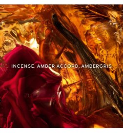 Absolus Allegoria Ambre Samar - Eau de Parfum